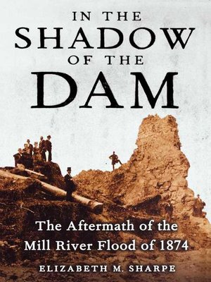 cover image of In the Shadow of the Dam